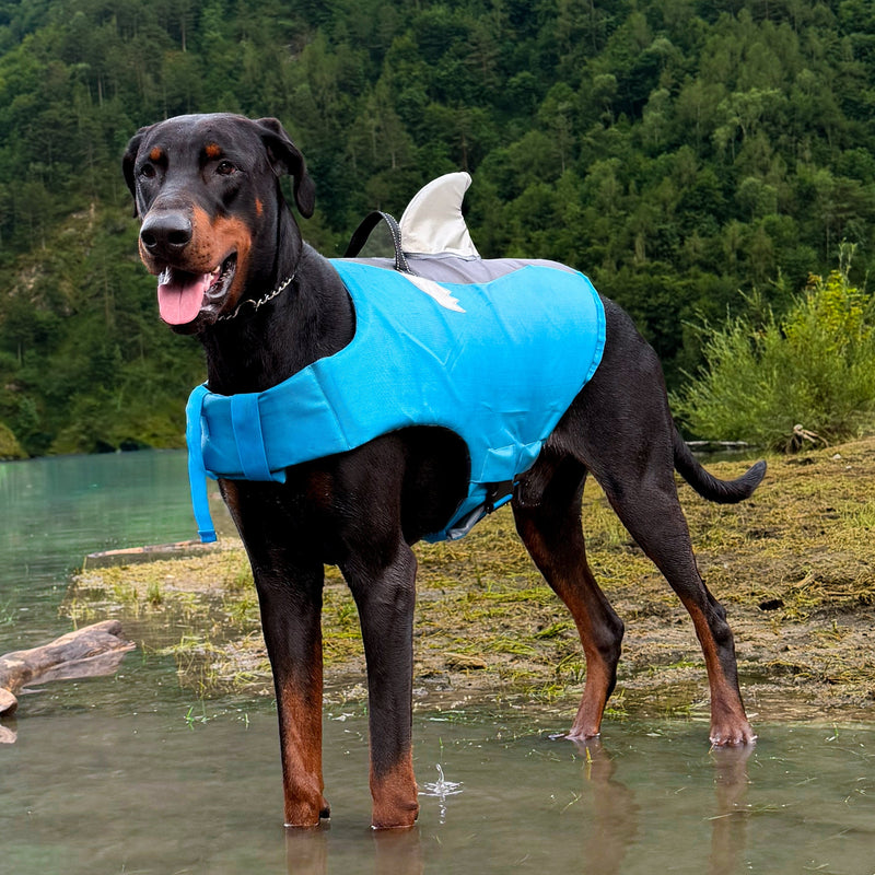 Shark Dog Life Jacket
